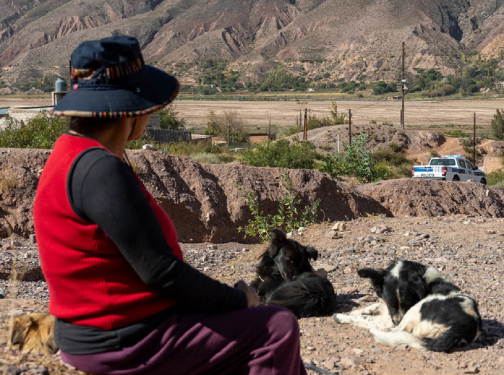 LOS PUEBLOS INDÍGENAS EN LA ARGENTINA DE LA DERECHA LIBERTARIA. Derechos indígenas y reveses estatales